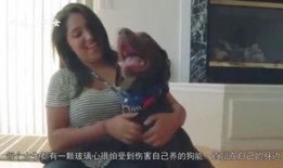 吃瓜老少女直播,揭秘娱乐圈幕后故事