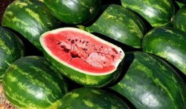 仨人吃瓜素材,揭秘娱乐圈幕后真相