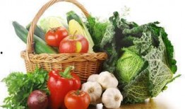 渔网精神吃瓜,网罗瓜界风云，品味人生百态