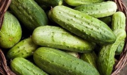 痛风吃七星瓜,七星瓜助力健康生活