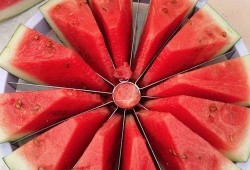 吃瓜比赛有哪些,一场舌尖上的狂欢盛宴