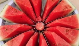 吃瓜比赛有哪些,一场舌尖上的狂欢盛宴