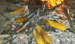 务川网红吃瓜事件,揭秘网络舆论的风暴与反思