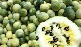 流产可以吃籽瓜嘛,籽瓜的营养益处与适宜食用指南