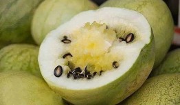 流产可以吃籽瓜嘛,籽瓜的营养益处与适宜食用指南