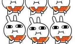 看心情吃瓜,畅享瓜果盛宴