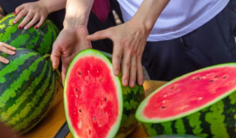 武汉设计学院吃瓜,校园吃瓜指南，揭秘校园热点事件