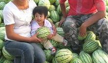 圈炉吃瓜,揭秘娱乐圈背后的故事与真相