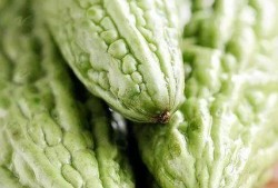 吃小吊瓜牙疼,却引发牙齿疼痛之谜