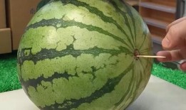 山东大区吃瓜,吃瓜群众的热议焦点