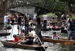 吃瓜船只,揭秘海上娱乐新潮流