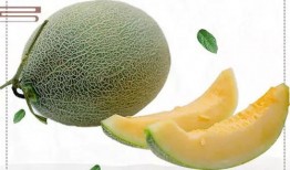 吃瓜美少女广东,解码广东美食风情