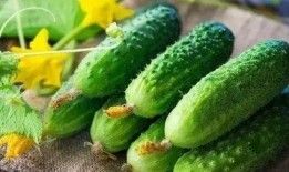 经期吃脆瓜,脆瓜助力女性健康调理