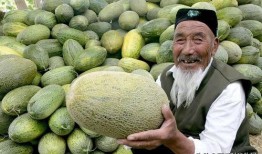 梦见吃大哈密瓜,揭秘吃大哈密瓜的神秘寓意