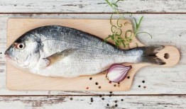 鱼儿吃瓜的视频,水下生活趣味十足