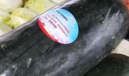 南通海门吃瓜,夏日炎炎，瓜香四溢的美食之旅