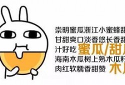 小海来了带你吃瓜,小海来了带你领略瓜界盛宴