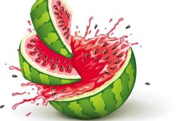 快乐吃瓜小店,舌尖上的欢乐时光