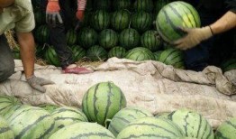 博兴最新吃瓜新闻,揭秘神秘事件背后的真相！