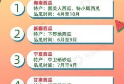 带你吃瓜收费的菜单,揭秘网红美食背后的真相