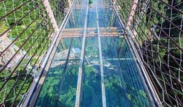 陕科大天桥吃瓜,一场别开生面的“吃瓜”盛事