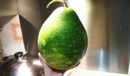 九个月宝宝吃葫芦瓜好吗,葫芦瓜营养解析与食用建议