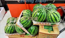 郑州南京吃瓜,两地美食文化碰撞之旅