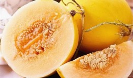 黄河蜜瓜小孩吃,儿童夏日健康美味新选择