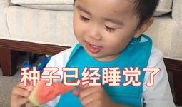 吃瓜话唠,吃瓜话唠带你领略明星幕后故事