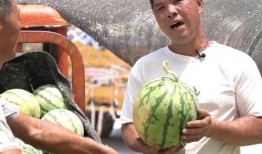 女顶流吃瓜,揭秘娱乐圈幕后真相