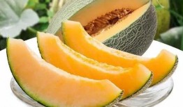 瓜州群众瓜州吃瓜州瓜,瓜州瓜乡瓜州群众瓜州瓜的甜蜜生活