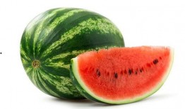 西昌幼儿师范吃瓜,吃瓜群众揭秘校园生活点滴