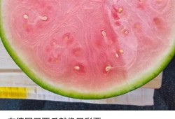 老外中国吃瓜,老外眼中的中国“吃瓜”文化现象