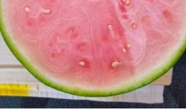 老外中国吃瓜,老外眼中的中国“吃瓜”文化现象