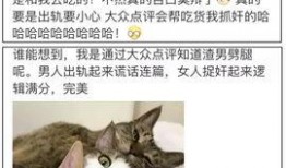 吃瓜大众评论区