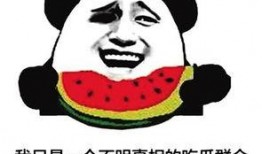 吃瓜群众 大目标,揭秘大众心中的“大目标”