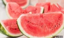 年代吃瓜文,回顾不同年代的热门吃瓜事件