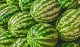 小瓜在哪吃