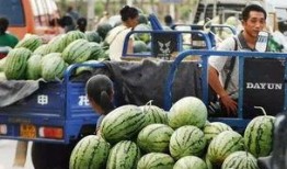 盐城金融城吃瓜,繁华都市中的“吃瓜”盛事