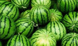 夏季吃瓜不要停,吃瓜不停，清凉一夏！