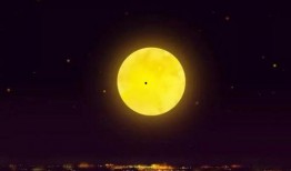 月亮组吃瓜在哪吃,揭秘神秘聚餐地点