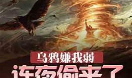 霸气吃瓜小说,揭秘娱乐圈风云变幻