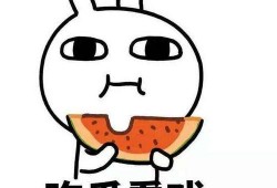 硬核吃瓜最新,揭秘娱乐圈背后的真相与内幕