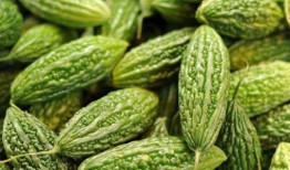 胃不好可以吃凉瓜,胃部不适？凉瓜助你养胃养生
