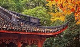 西湖吃瓜,一场味蕾与视觉的双重享受