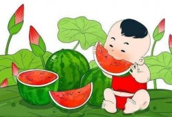 吃瓜太多小说,揭秘吃瓜群众的狂欢与反思