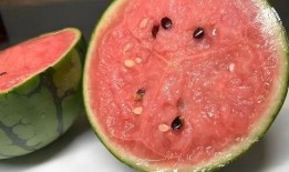 该怎么选择吃瓜,如何挑选美味多汁的瓜果