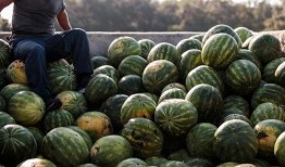 吃瓜网今日大瓜,揭秘娱乐圈最新热点事件