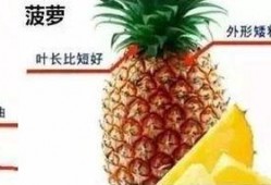 台湾凤梨吃瓜群众视频,揭秘视频背后的故事