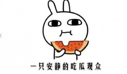 在线吃瓜的含义,揭秘在线吃瓜现象背后的文化现象